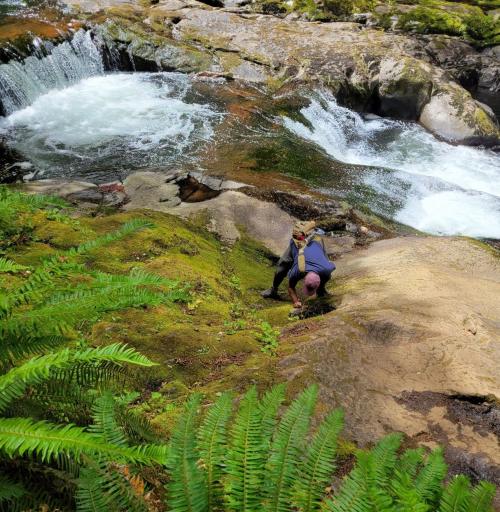 abram puddle: A photo of me looking for mosquitoes in a rock pool at Silver Falls State Park in Oregon.