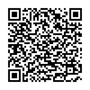 UC Davis Art-Science Fusion Program QR code 