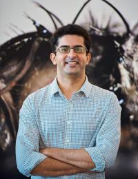 Neuroscientist Salil Bidaye, Research Group Leader, Max Planck Florida Institute for Neuroscience