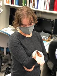 Lili Larsen holding an insect