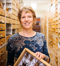 Rosemary Gillespie, professor, UC Berkeley