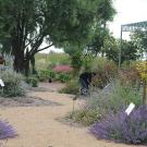 The UC Davis Bee Haven, located on Bee Biology Road, was installed in the fall of 2009. (Photo by Kathy Keatley Garvey)