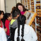 Tabatha Yang discussing insect specimens at Bohart Museum of Entomology