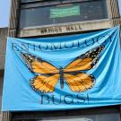 Monarch banner at Briggs Hall