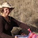 Amanda Hodson, assistant professor of soil ecology and pest management, UC Davis Department of Entomology and Nematology.