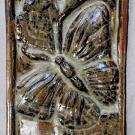 This tile shows a butterfly on its flowering host plant.