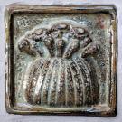 This tile shows a prickly pear cactus.