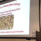 UC Davis distinguished professor Walter Leal delivering Faculty Distinguished Research Lecture
