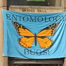 Monarch butterfly banner graces Briggs Hall