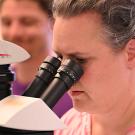 Bee scientist Elina Nino, professor of Cooperative Extension, peers through a microscope. (Photo by Kathy Keatley Garvey) 