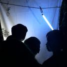 Blacklighting Is Part of Moth Night at the Bohart Museum of Entomology. (Photo by Kathy Keatley Garvey)