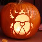 Rain beetle pumpkin by Dylan Vega