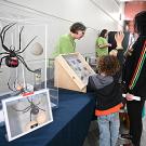 Entomologist Fran Keller answering questions at 2023 UC Davis Biodiveristy Museum Day